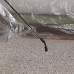Carpet Cleaning Spray Pre-Treatment