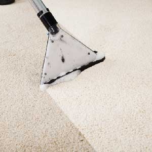 Carpet Cleaning Hot Water Extraction